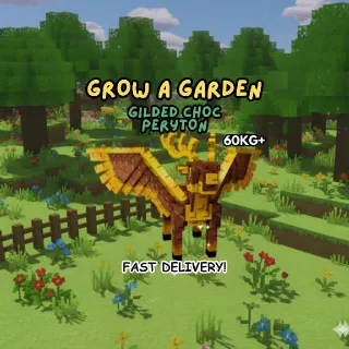 60KG+ GILDED CHOC PERYTON