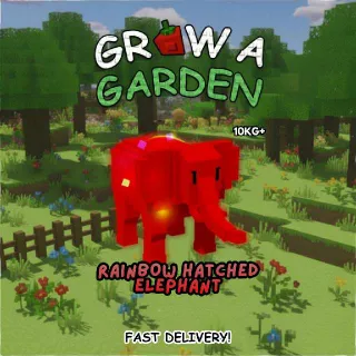 10KG+ RAINBOW HATCHED ELEPHANT / RBH ELEPHANT