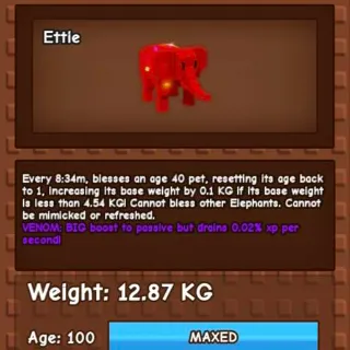 12KG RBH ELEPHANT 🎯ONHAND🎯