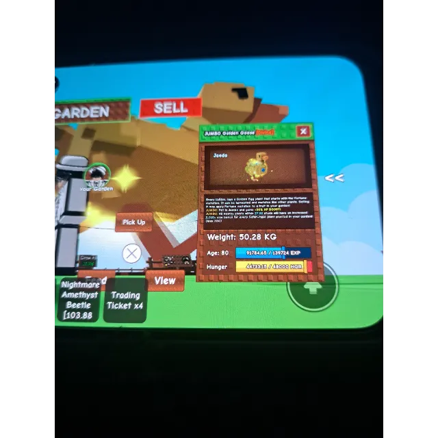 รายการภาพถ่าย