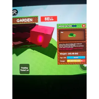 Colossal NM Sea Turtle