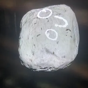 PET ROCK REAL METHOD!