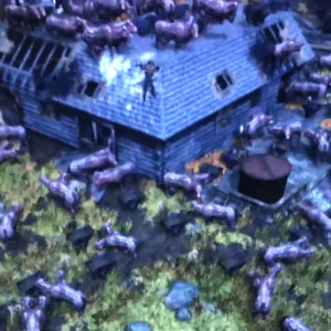 New Safe Rollback Camp