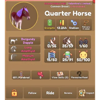 Amethyst Burgundy Dapple IUH