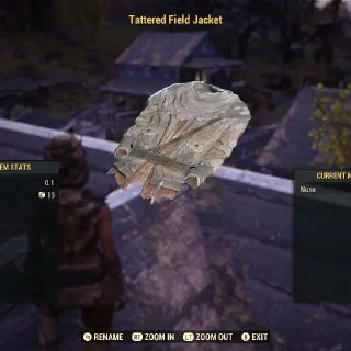 Tattered Field Jacket