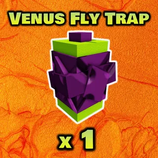 Venus Fly Trap Seed
