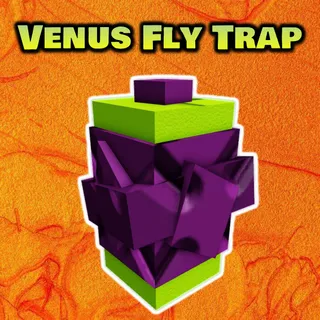 Venus Fly Trap Seed x5