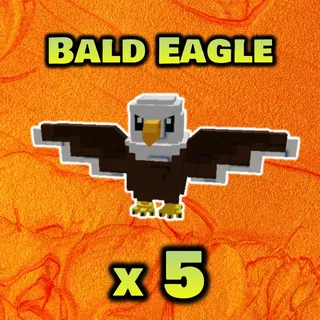 Bald Eagle x5