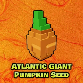 Atlantic Giant Pumkin Seed x100