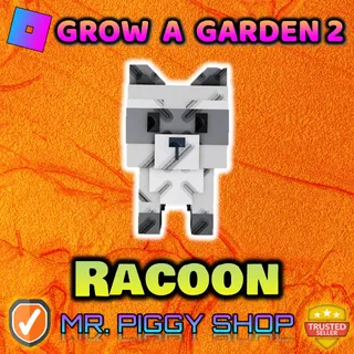 Racoon