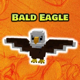 Bald Eagle x5