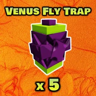 Venus Fly Trap Seed x5
