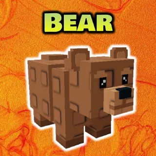 Bear x5