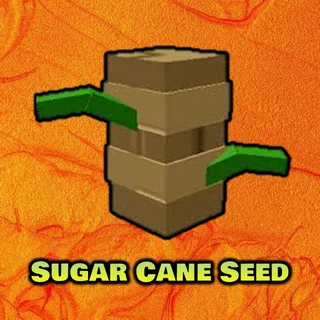 Sugar Cane Seed x500