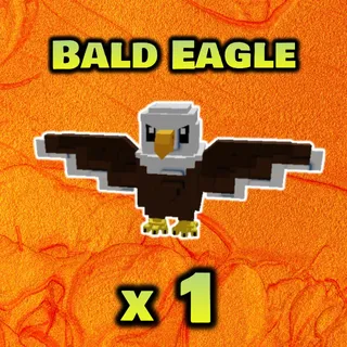 Bald Eagle