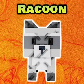 Racoon x1