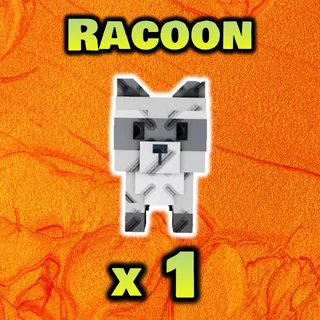 Racoon | GAG 2