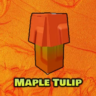 Maple Tulip x100