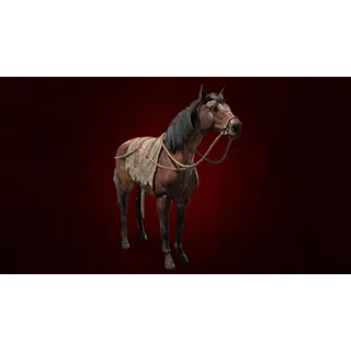 Diablo® IV - Orichalcum Speckled Mare