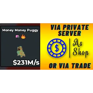 Money Money Puggy | 231m/s