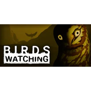 Birds Watching STEAM Key GLOBAL