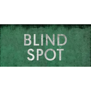 BLIND SPOT STEAM Key GLOBAL