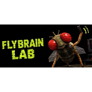 FLYBRAIN LAB STEAM Key GLOBAL