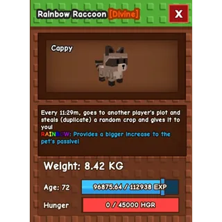 RAINBOW RACCOON 