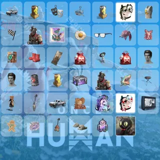 ⚡️ Once Human Twitch Drops 💜 Post-Raid for Glory [Total 41 Items]
