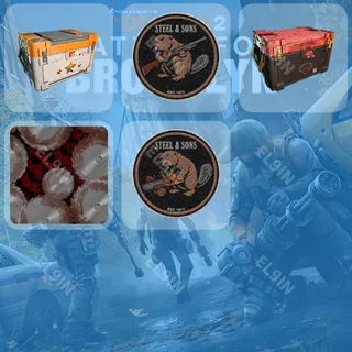 ❤️ Tom Clancy's The Division 2 Twitch Drops 🧨 TD2 Broken Rain Incursion [Total 5 Items]