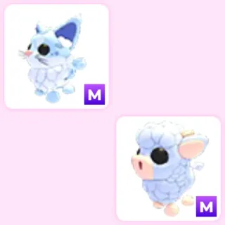 adopt me pet bundle - m angus calf , m maine coon