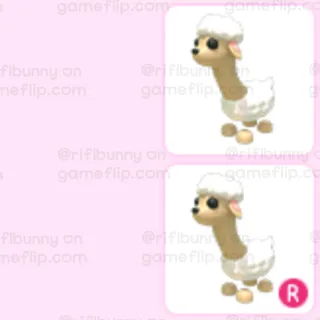 adopt me sheeeeep bundle - r sheeeeep , sheeeeep