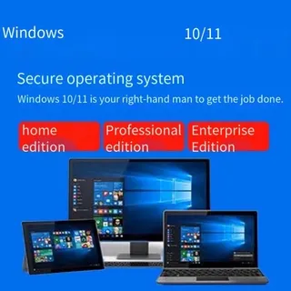 WINDOWS 10/11 Professional Activation Key