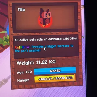 rainbow blood owl 11kg