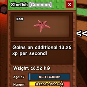 Huge starfish 62kg