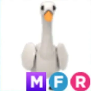 MFR Swan