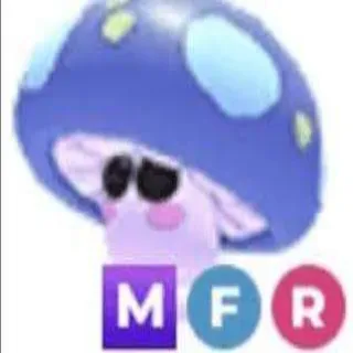 MFR Mushroom Friend