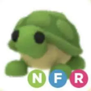 NFR Turtle