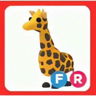 FR Giraffe