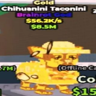 Gold Chihuanini Taconini