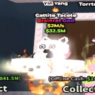 Yin Yang Gattito Tacoto