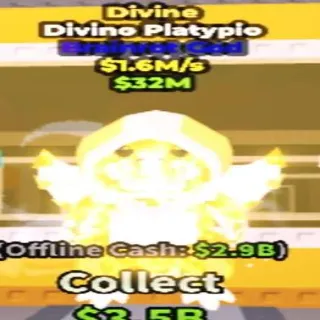 Divine Divino Platypio