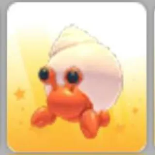 Hermit Crab