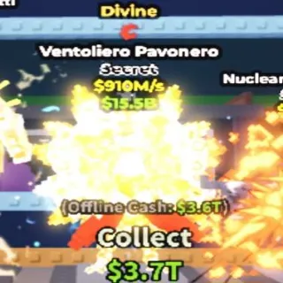 910m/s Divine Ventoliero Pavonero