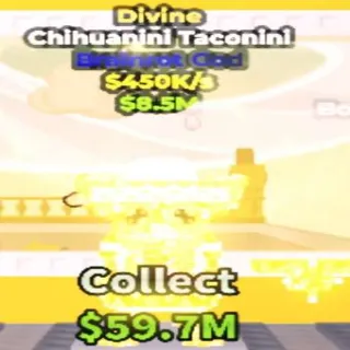 Divine Chihuanini Taconini