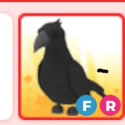 Crow adopt me