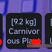 9.2kg carn