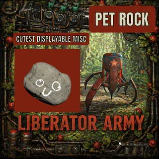 PET ROCK