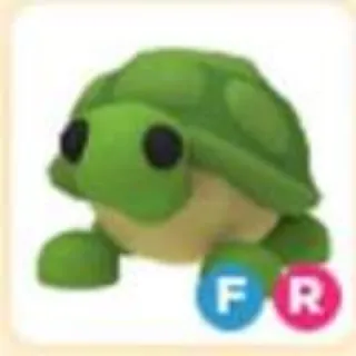 Fr Turtle