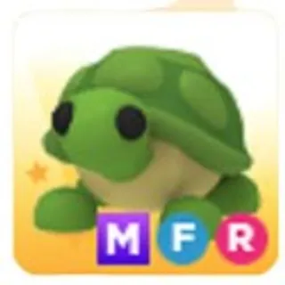 MFR TURTLE( 5 MINUTES DELIVERY)